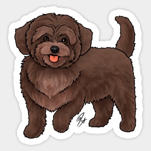 Dog - Maltipoo - Brown Sticker